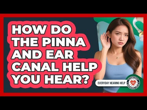 How Do The Pinna And Ear Canal Help You Hear? - Everyday Hearing Help