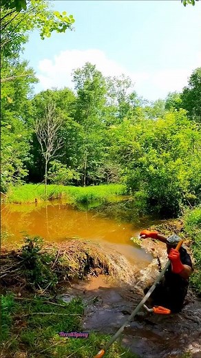 Beaver Dam Removal Collapse Nearly Took Me Out! #shorts