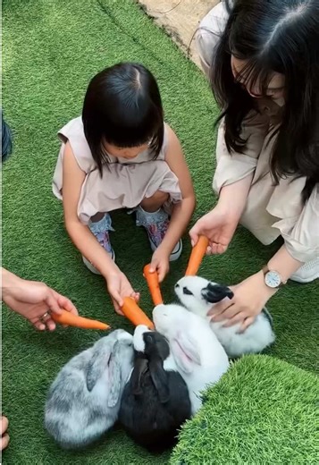 🌿🐰 Gentle moments in the garden—planting, feeding bunnies, and discovering nature. Followed by playful holiday experiences designed for joyful family memories at Mason Pine Hotel 🎨 #MasonPineHotel #SafariQuest #GardenExperience #FamilyTime #HolidayMemories