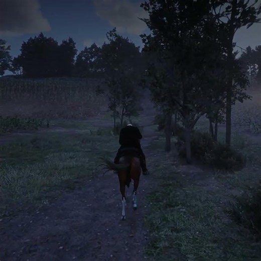 My Horse and I Wild West 🐎🌿 #rdr2