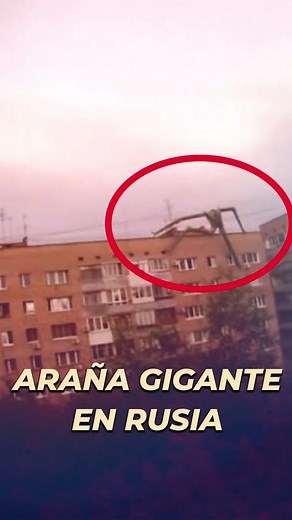 Araña Gigante Alienígena Captada en Rusia