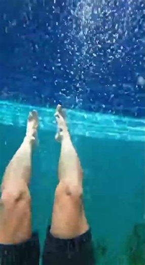 Waterslide into pool full of giant fish #funny #memes