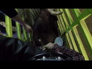 GoPro view of bull riding at 3 Bar B Rodeo 1/15/22