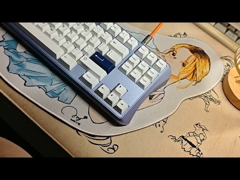 [TYPING TEST] Linworks Dolphin TKL v2021 | Gateron PUG Reds