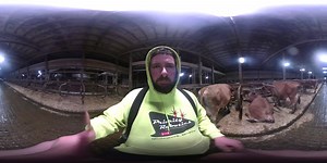 17K views · 177 reactions | A 360 degree walk through a freestall barn. Priority Robotics of Tillamook you should love the sweatshirt I’m wearing . | TDF Honest Farming | Facebook