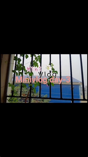 day-3/365 morning routine, mini vlog, peaceful morning, simple morning routine, home morning vibes,