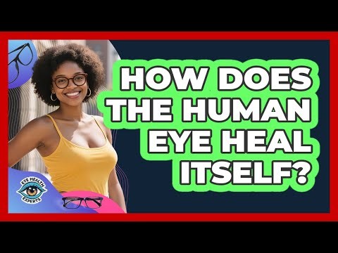 How Does The Human Eye Heal Itself? - Eye Health Experts
