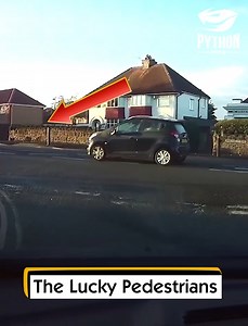 26K views · 562 reactions | The Lucky Pedestrians | Aung La Nsang(Burmese Python) | Facebook