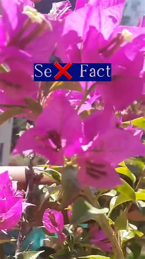 3.1K views · 13 reactions |  Spice Up Your Love Life with Our...