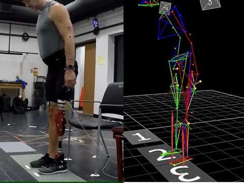Biomechanics – HGN Lab for Bionic Engineering