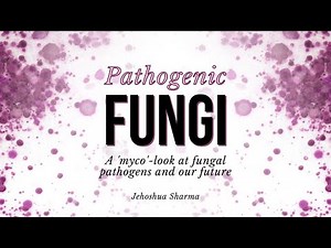 Pathogenic Fungi: A 'myco'-look at fungal pathogens and our future | Jehoshua Sharma