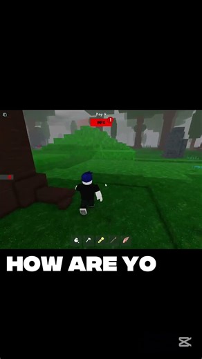 ruby chest speedrun . shout out to Reo