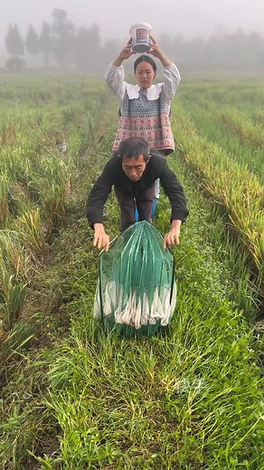 11K views · 36 reactions | Amazing Village Fishing Hack  Catching a Lot Fish  #villagefishing #fishingtrip #fishingreels | Riya Mazumder | Facebook