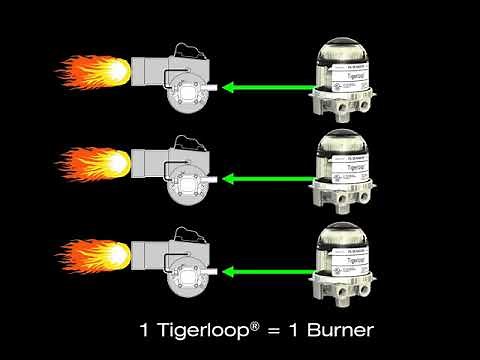 Tigerloop Advanced Information NORA version 4