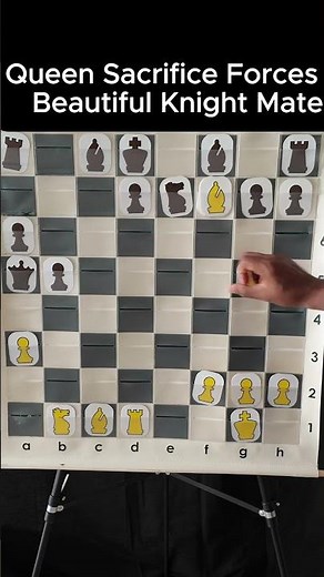 Queen Sacrifice Forces Beautiful Knight Mate