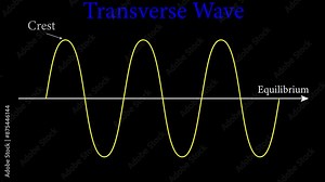 Video of transverse wave presentation . Crest, trough, wavelength and amplitude