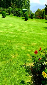 Shalimar garden Srinagar | Nature And Life Of Kashmir