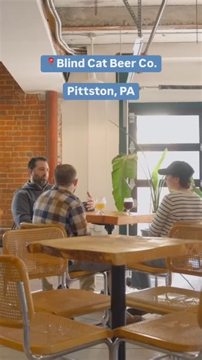 6.8K views · 61 reactions | Blind Cat Beer Co. blends good beer and a cozy vibe at their earth-friendly brewery and taproom in downtown Pittston! Check out the small-batch brewery that gets its name from the owners’ two blind cats.  #DiscoverNEPA #DiscoverNEPABrewersLoop | DiscoverNEPA | Facebook