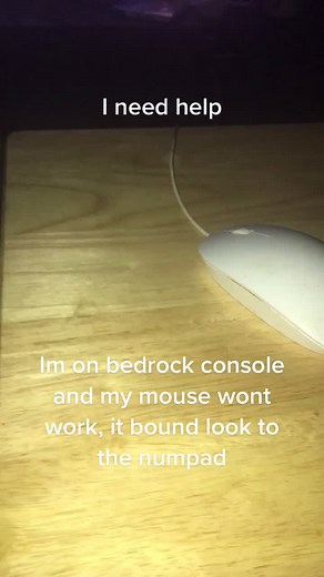 BAGUETTE_THE_GOOSADER on TikTok