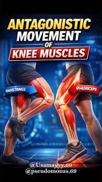 Why does your leg need enemies to move? Meet antagonistic Muscles. 🦵|Muhammad Usama Hafeez #shorts