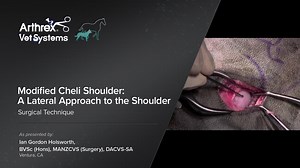 Modified Cheli Shoulder: A Lateral Approach to the Shoulder