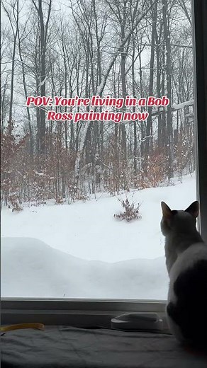 When your cat enjoys looking at the window #youtubeshorts #cat #animals