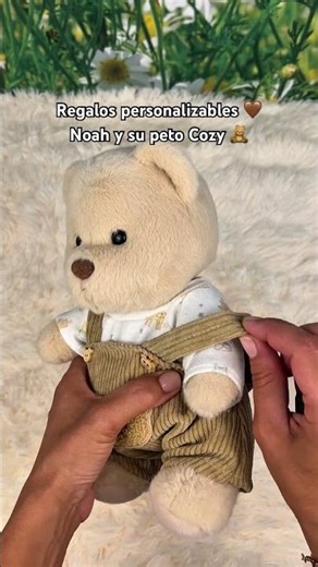 El osito de peluche cozy que convierte cualquier rincón en ternura 🧸