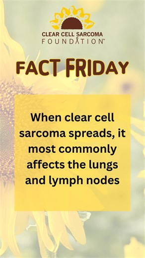 🧬 #FactFridays 🧬 When clear cell sarcoma spreads, brain involvement is rare. Make sure to discuss your symptoms promptly with your care team. Visit www.clearcellsarcoma.org to learn more. (Link in bio) #CCSAwareness #ClearCellSarcoma #Sarcoma #Cancer #RareCancer #PatientSupport #Research #ResearchMatters | Clear Cell Sarcoma Foundation