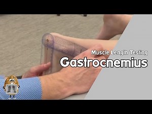MLT: Gastrocnemius Muscle Length Testing-Non-Weightbearing