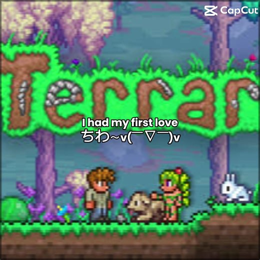 Terraria Memes That Changed My Life