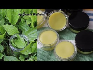 Plantain salve || Versatile salve