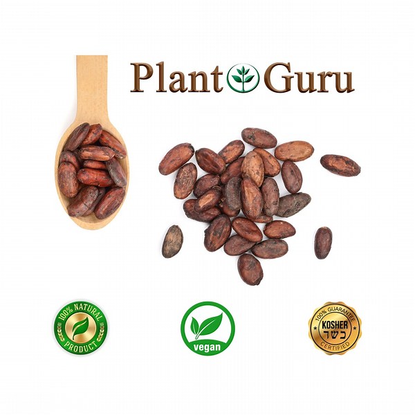 Raw Cacao / Cocoa Beans Chocolate Organic Arriba Nacional Bean 1 Oz to 25 Lbs. Bulk - Etsy