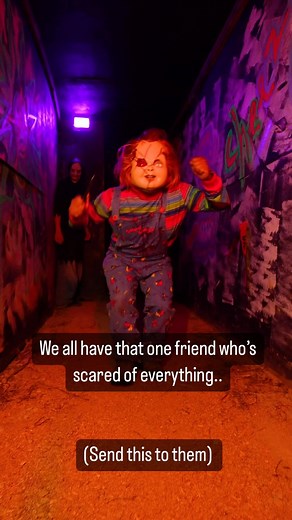 Terror around every corner! Haunted corn maze is now open every Friday and Saturday night in October! Get your tickets before the time slots sell out! www.bellaorganic.com Bella Organic Farm Sauvie Island 16205 NW Gillihan Rd Portland, OR 97231 www.bellaorganic.com 📸 @omi.pnw #bellaorganicfarm #bellaorganic #pdx #pdxartist #pdxevents #sauvieislandfarms #sauvieisland #portland | Bella Organic Farm