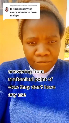 How to Grow Malepe in Zambia with Pineapple Leaves | Traditional Herbs for Amalepe