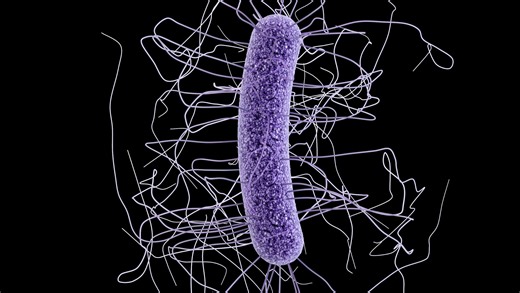 Take Care: C. diff races around hospitals and strikes patients' guts