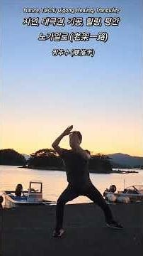 Laojia Yilu (老架1路) -"Pieshenchui - QīngLóngChūShuǐ - ShuāngTuīShǒu", Tai Chi in Nature