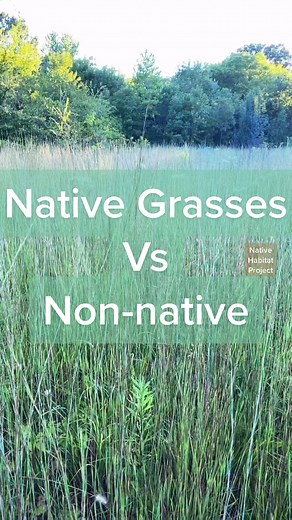 Kyle Lybarger on TikTok