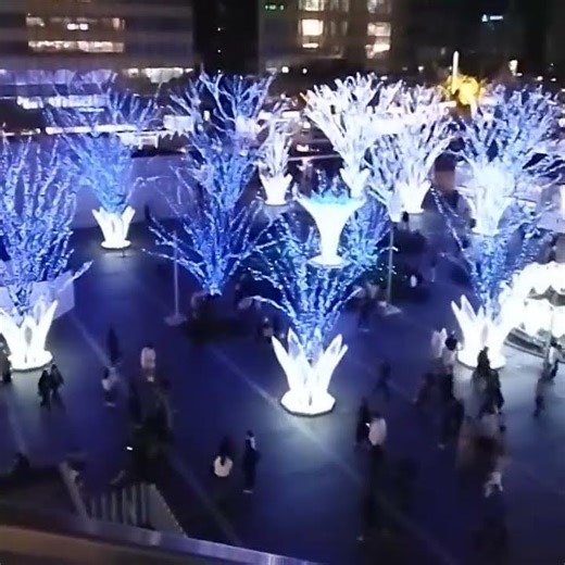Hakata Station, Fukuoka: A Walk Through the Shimmering Blue Trees | Japan Winter 2025