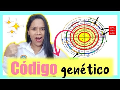 🌟✅ CÓDIGO GENÉTICO y síntesis de proteínas ¡Bioquímica!