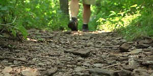 Paris Mountain State Park re-opens after Helene