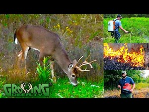 Make a Small Food Plot the Easy Way! (717)