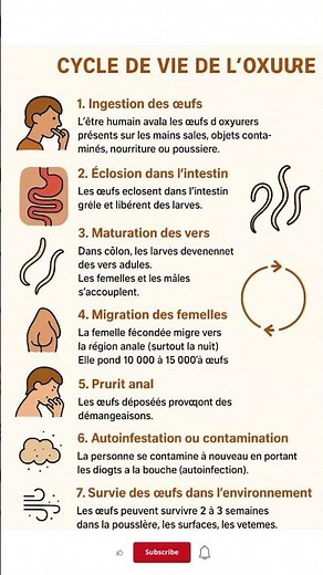 Cycle de vie de l'Oxyure