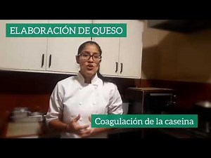 Elaboración de queso (coagulación enzimatica de la caseína)