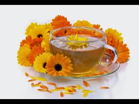 How to make Calendula Herbal Tea and Herbal Oil infusions