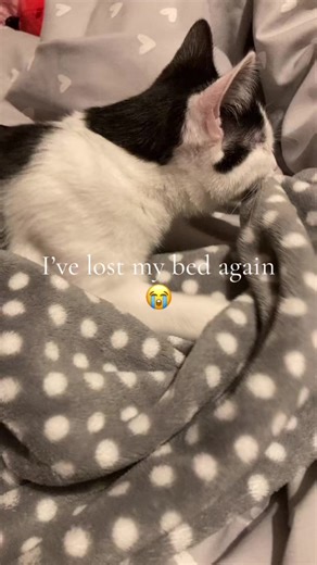 Kelsie🪩🌟🤍 (@klhiomrandomwordslol)’s videos with SM64 Select a File - MARIO MUSIC!