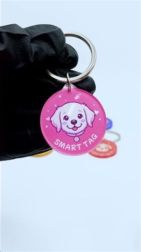 Smart QR Pet ID Tag for Dogs & Cats | Helps Lost Pets Return Home