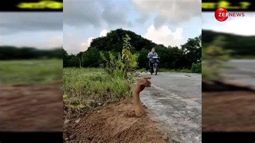 गुमनाम सड़क किनारे जमीन के अंदर दिखा जिंदा हाथ, जैसे ही पास गए लोग...