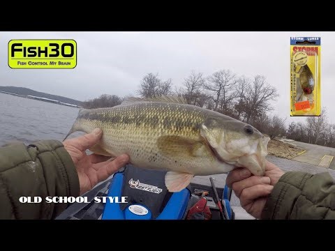 Old School Wiggle Wart gets ALL the Bites on Channel Swing Banks in the COLD WATER Vlog