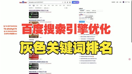 百度搜索引擎优化，灰色关键词快速稳坐首页排名