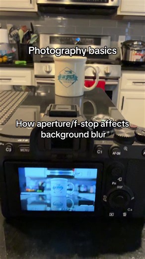 The wider the aperture (lower f-number), the more background blur you get. The narrower the aperture (higher f-number), the more everything stays sharp. #photography101 #aperture #beginnertips